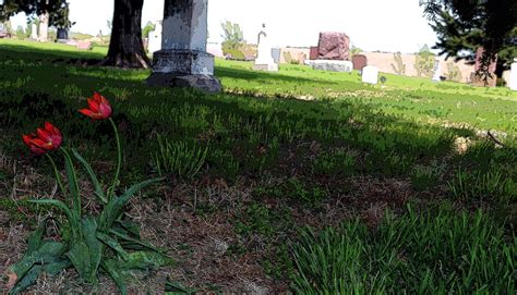 find a grave nebraska|janet mayhall death in nebraska.